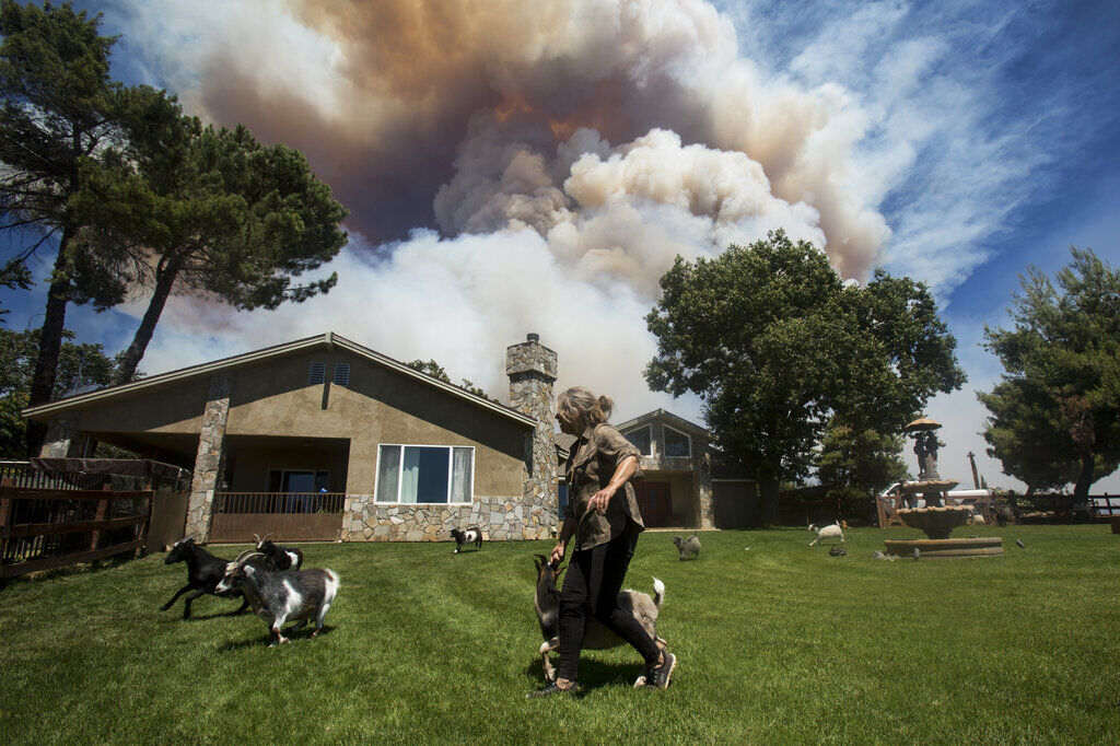 California Wildfires